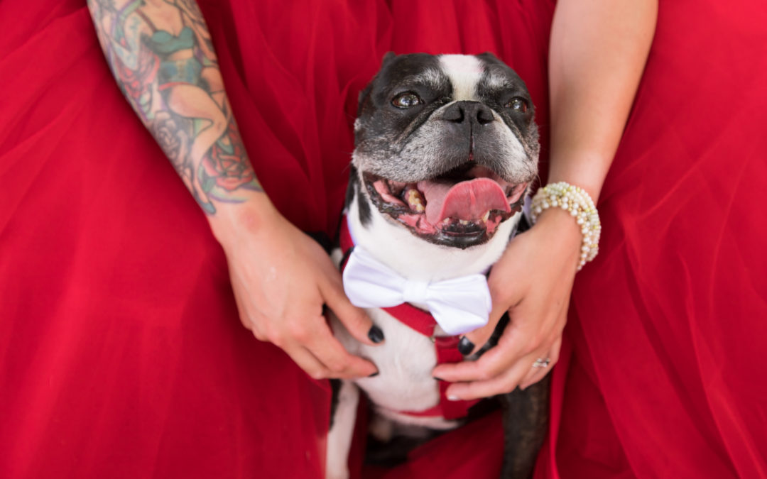 Corey + Sami: Vibrant Vintage Dawes Arboretum Wedding | Newark, Ohio